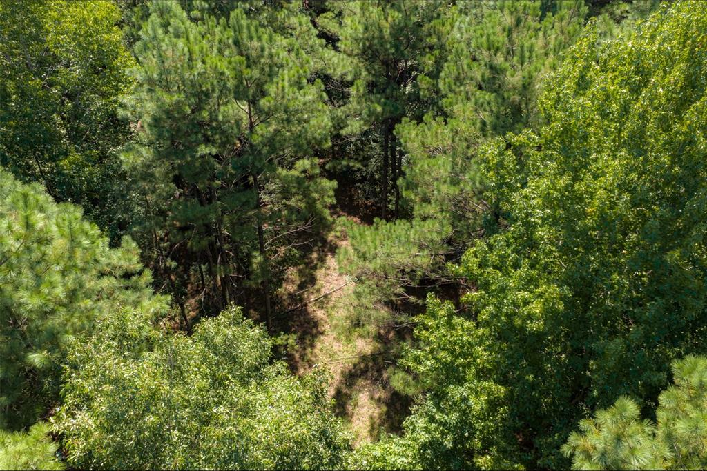 NE Off Of FM 227 - Photo 36