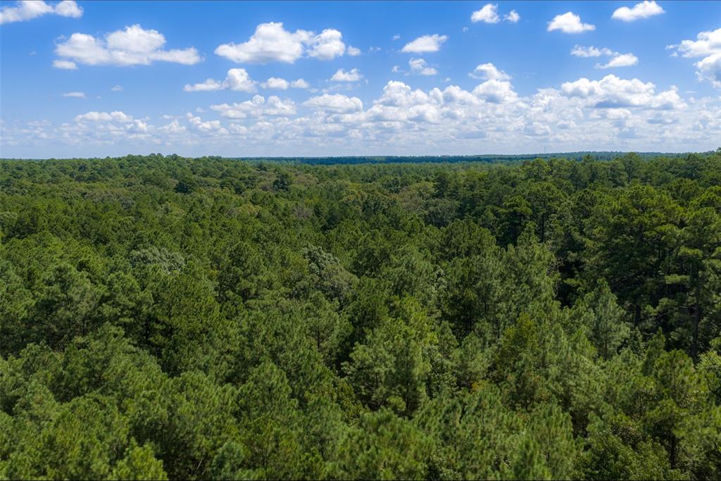 NE Off Of FM 227 - Photo 37