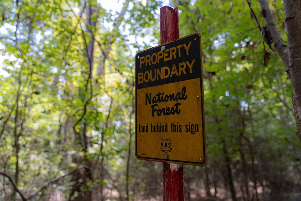 NE Off Of FM 227 - Photo 5