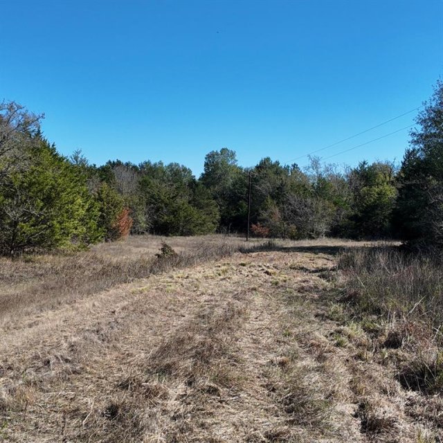 1703 County Road 4901