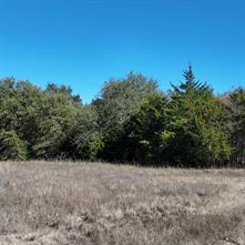 1703 County Road 4901 - Photo 2