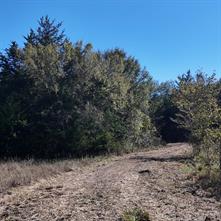 1703 County Road 4901 - Photo 3