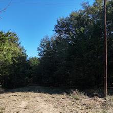 1703 County Road 4901 - Photo 4