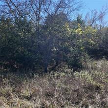 1703 County Road 4901 - Photo 5