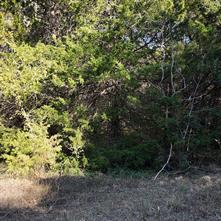 1703 County Road 4901 - Photo 6