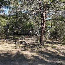 1703 County Road 4901 - Photo 7