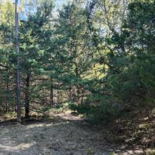 1703 County Road 4901 - Photo 8