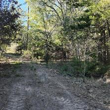 1703 County Road 4901 - Photo 9