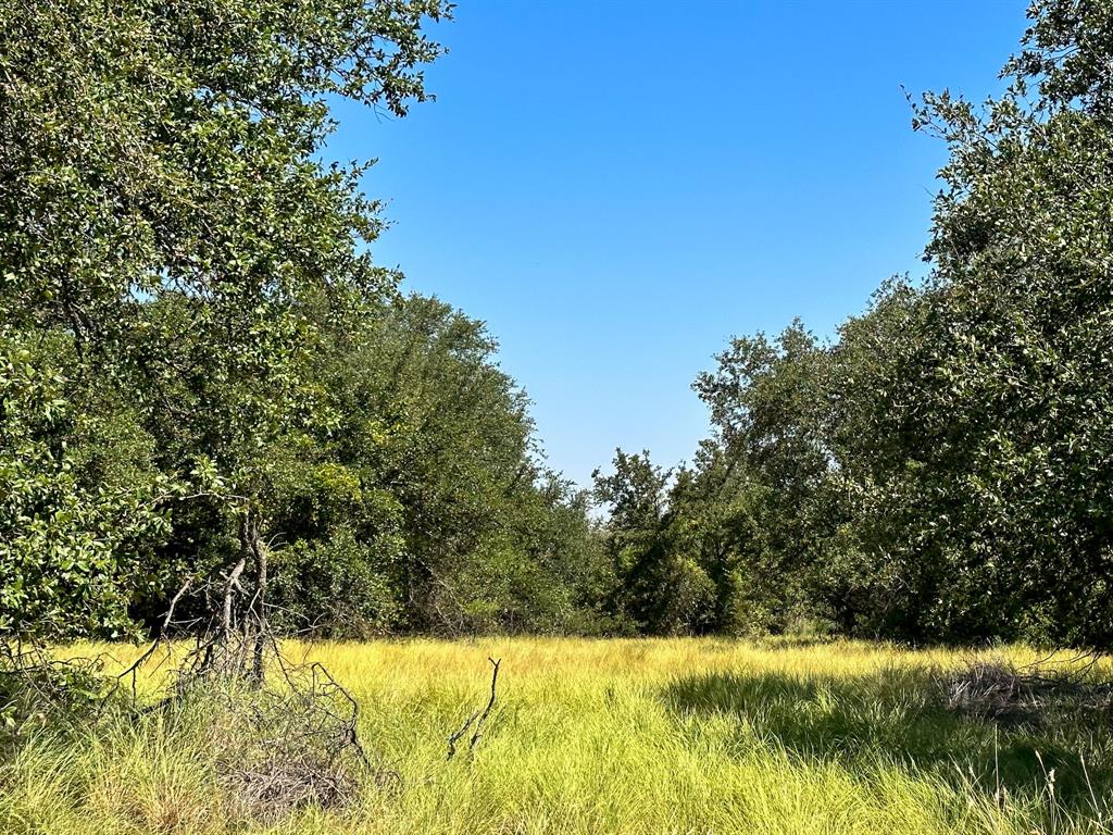 12300a County Road 367 - Photo 25