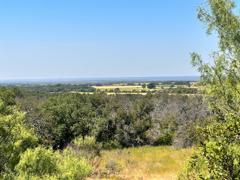 12300a County Road 367 - Photo 28