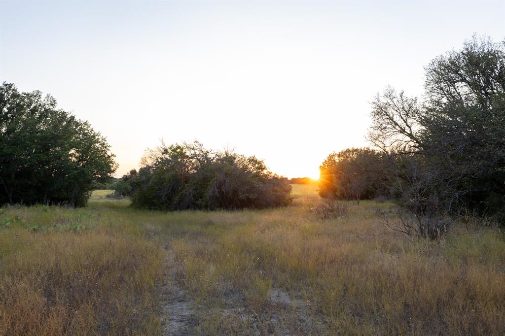 12300a County Road 367 - Photo 33