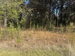 379 & 401 CR 167 - Photo 6