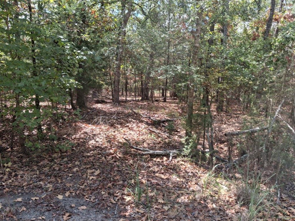 tbd Hideaway - Photo 3