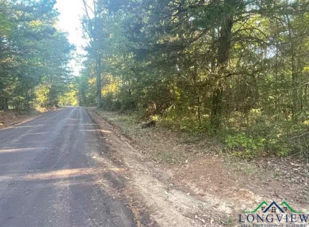 TBD Aster Road - Photo 4