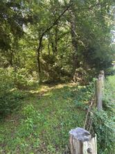 TBD LCR 403 - Photo 7