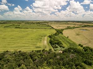 11 Acres County Rd 3150 - Photo 16