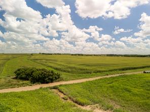 11 Acres County Rd 3150 - Photo 21