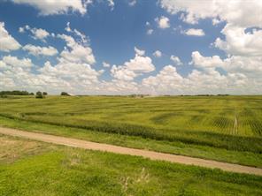 11 Acres County Rd 3150 - Photo 24