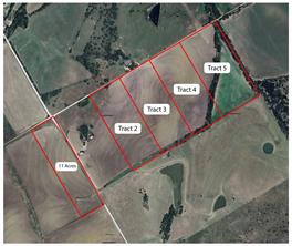 11 Acres County Rd 3150 - Photo 4