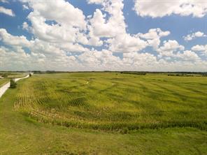 11 Acres County Rd 3150 - Photo 6