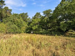 309 N Fm 730 - Photo 19