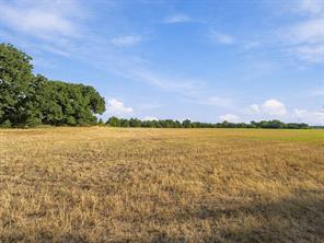 309 N Fm 730 - Photo 26