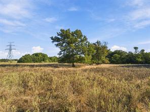 309 N Fm 730 - Photo 31