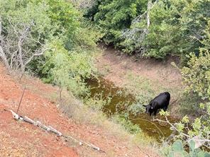 801 State Highway 153 - Photo 10