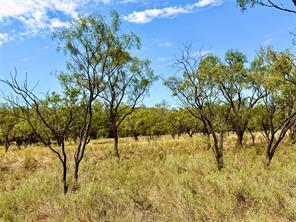 801 State Highway 153 - Photo 32
