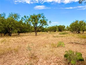 801 State Highway 153 - Photo 33
