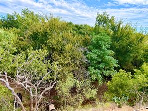 801 State Highway 153 - Photo 34