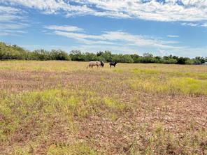 801 State Highway 153 - Photo 35