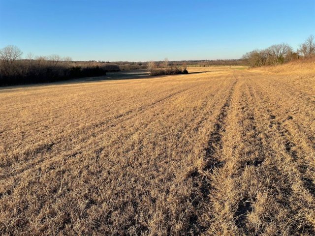 61.96ac Mary Fitch Road