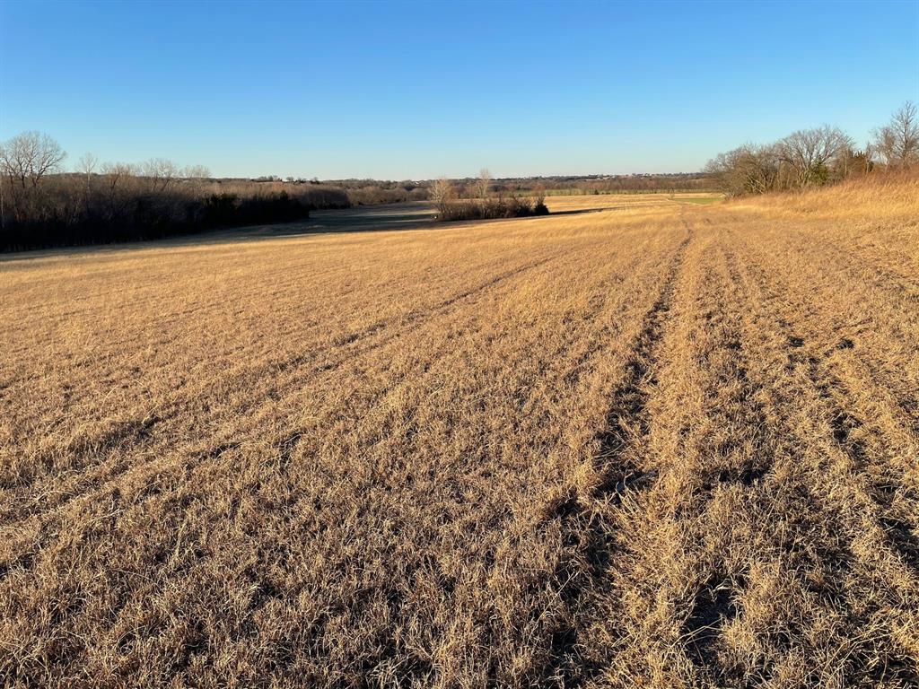 61.96ac Mary Fitch Road - Photo 1