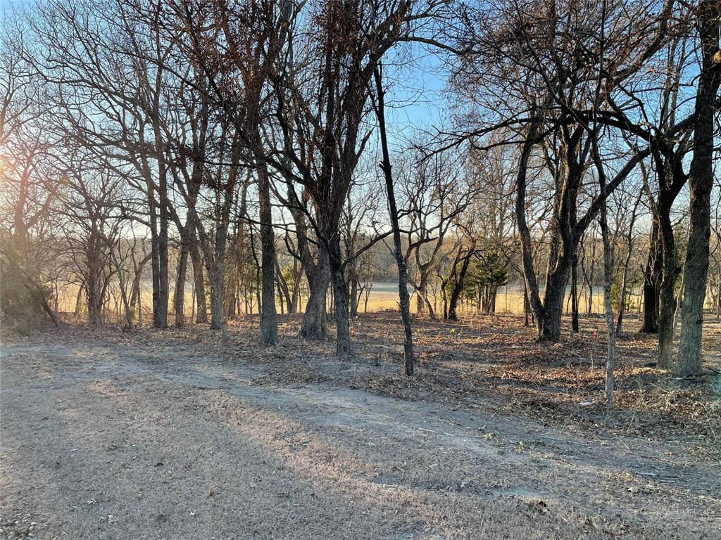 61.96ac Mary Fitch Road - Photo 10