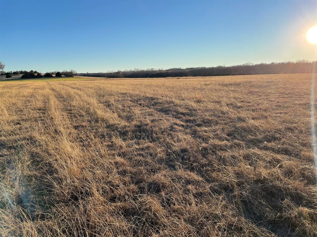 61.96ac Mary Fitch Road - Photo 11