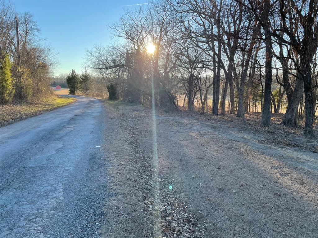 61.96ac Mary Fitch Road - Photo 12