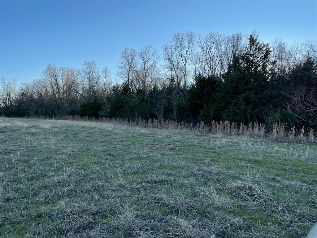 61.96ac Mary Fitch Road - Photo 14