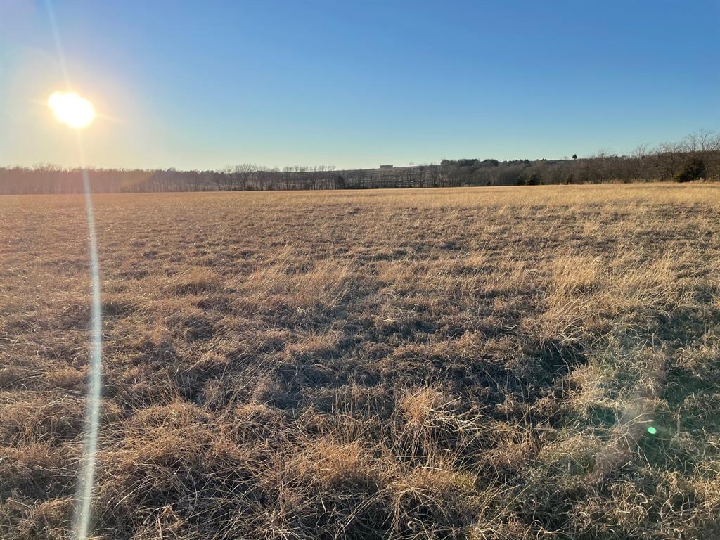 61.96ac Mary Fitch Road - Photo 4