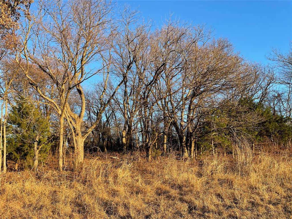 61.96ac Mary Fitch Road - Photo 5