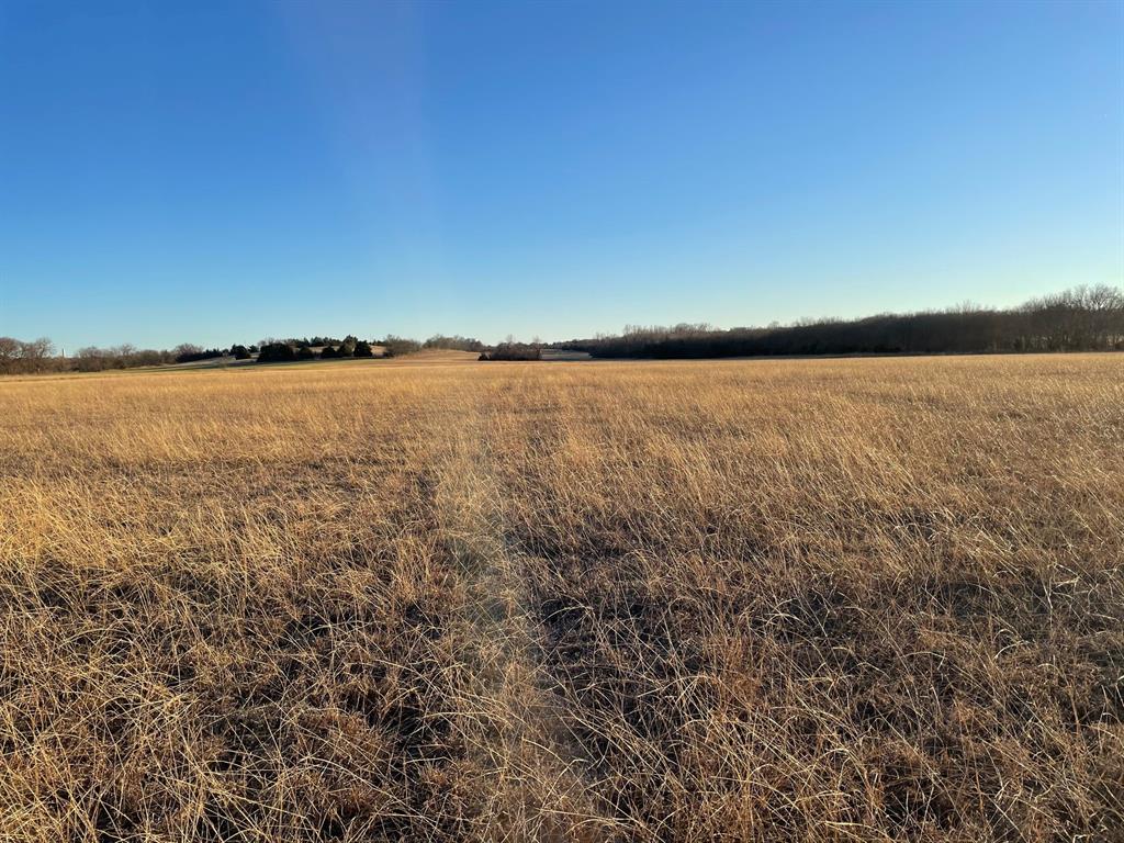 61.96ac Mary Fitch Road - Photo 6