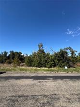 400 Wind Pump Alley - Photo 3