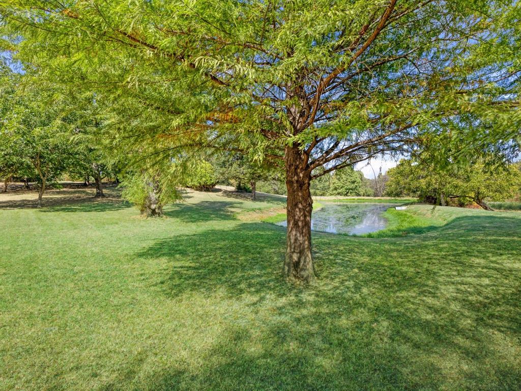1333 Salt Branch - Photo 8