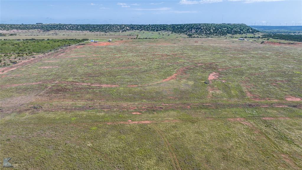 TBD 80+/- Acres County Road 194 - Photo 7