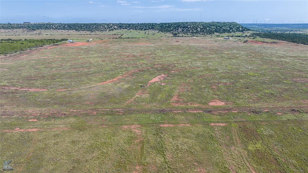 TBD 80+/- Acres County Road 194 - Photo 8
