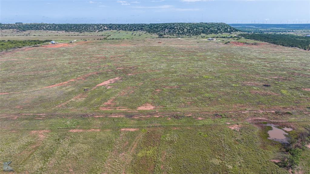 TBD 80+/- Acres County Road 194 - Photo 9