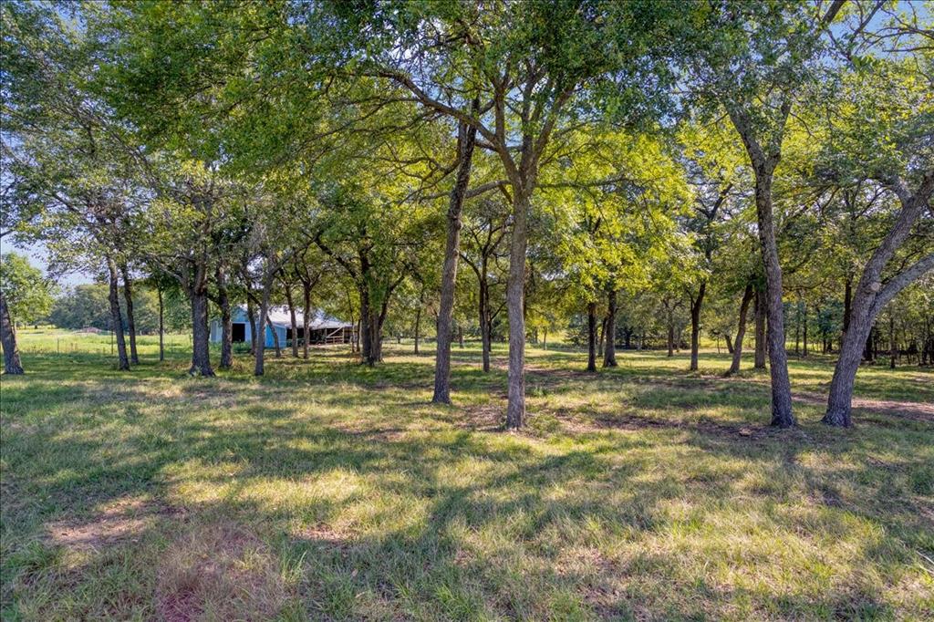5286 Preston Road - Photo 6