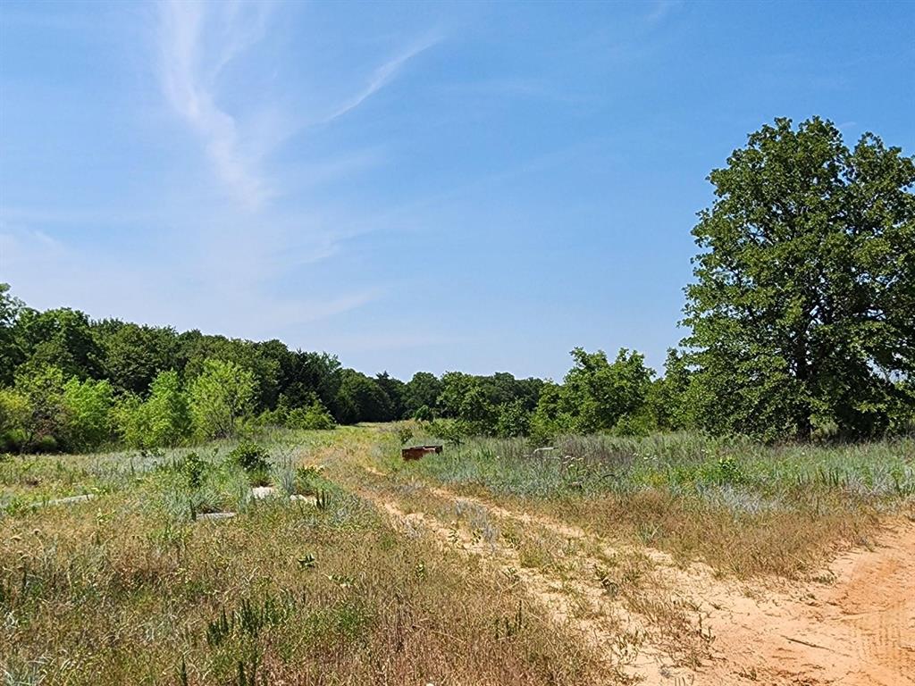 301 Timber Trail - Photo 2