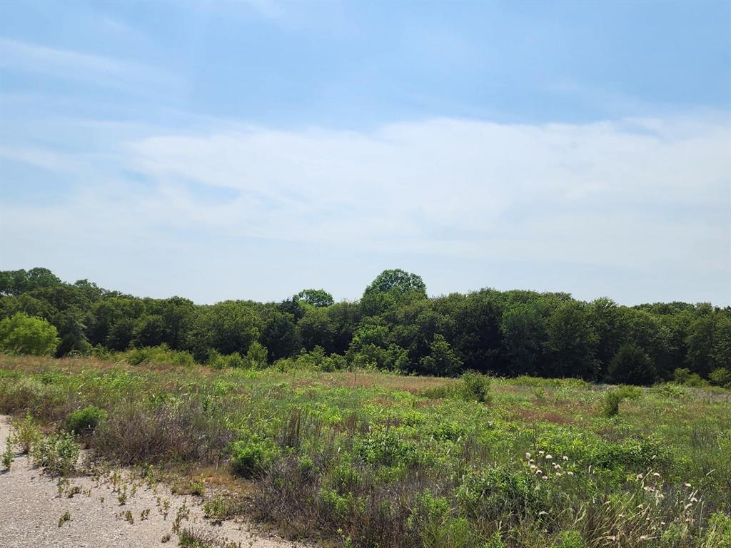 301 Timber Trail - Photo 3