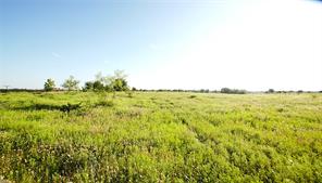 316 Flowing Wells Road - Photo 10